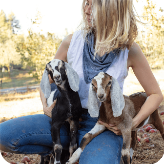 Meyenberg Dairy Goat Kids with a Women 